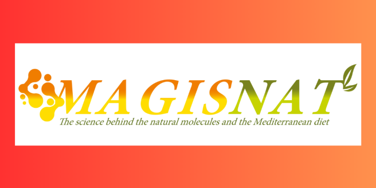 MAGISNAT