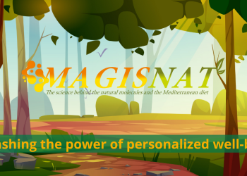 Magisnat